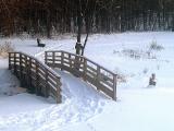 Path_Winter.jpg
