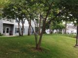 Front Lawn