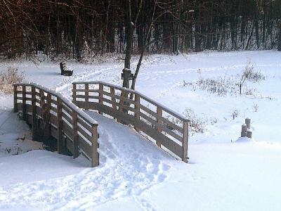 Path_Winter.jpg